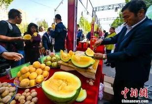 柬埔寨吃瓜最新事件爆料,揭秘背后惊人真相