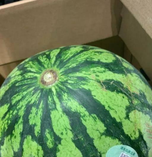 南和吃瓜事件真假