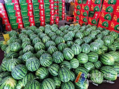 宁波中介吃瓜事件真相,真相揭秘，一场误会的反转