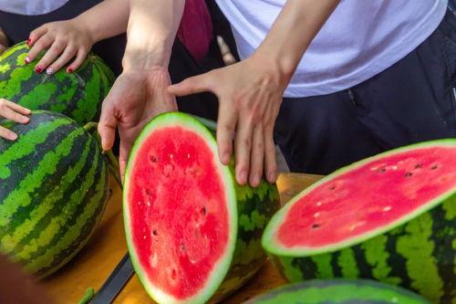 杭州大学吃瓜事件,校园舆论风波背后的真相揭秘