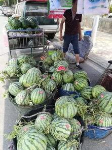 湛江网红吃瓜事件,揭秘网络舆论的风暴与真相