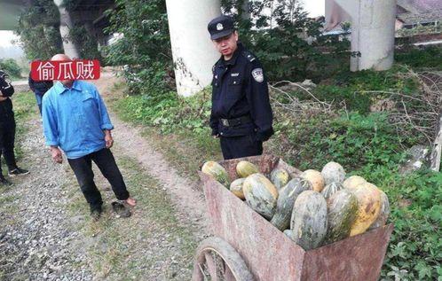 河南长垣最近出了什么吃瓜事件,引发全民热议！