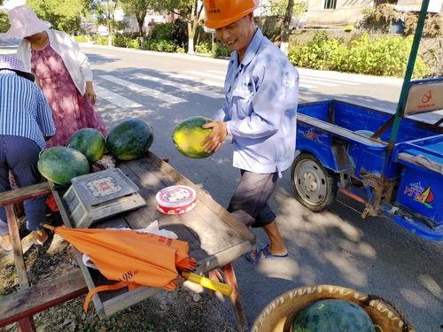 深圳水贝吃瓜群众事件,一场网络舆论的风暴与反思