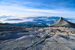 神山公园吃瓜事件,一场意外的社交风波