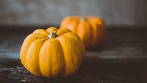 南瓜吃瓜事件图片高清大图