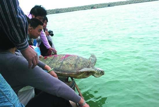 舟山渔民吃瓜事件视频,舟山渔民意外吃下“神秘瓜果”引发热议