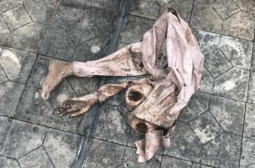 刨尸吃瓜真实事件,刨尸吃瓜事件的背后真相揭露