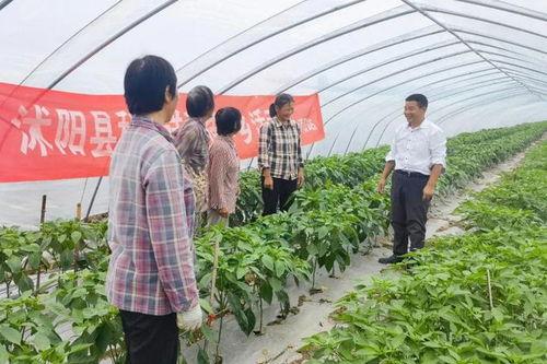 沭阳律师吃瓜事件,网络舆论下的法律人形象探讨