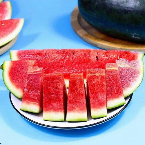 福建莆田吃瓜事件视频,一场网络热议的真相探寻之旅