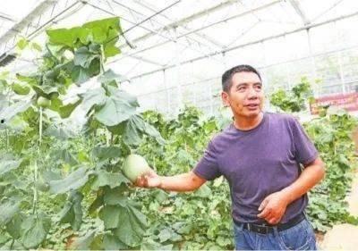 江夏吃瓜事件真相,揭秘背后真相与反思