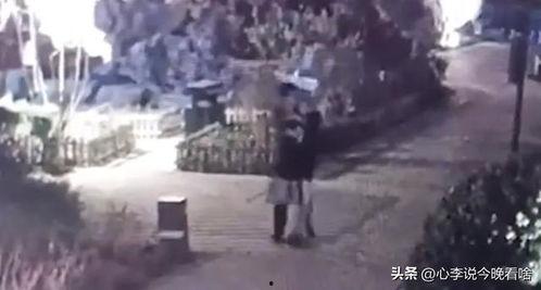 烟台城府吃瓜事件视频,一场网络热议的真相揭秘