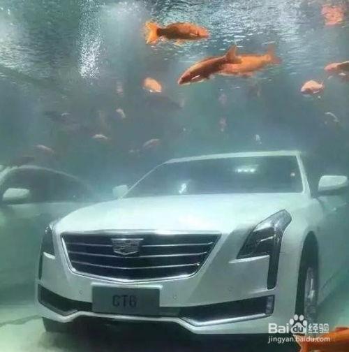 路虎吃瓜门事件,一场舆论风波背后的真相与反思