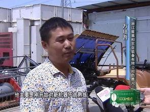 胶州老赖吃瓜事件真相,真相揭秘，法律与人性的较量