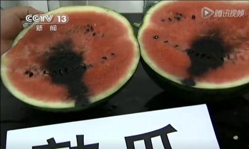 燕山吃瓜事件真相揭秘图片,揭秘背后的真相与争议